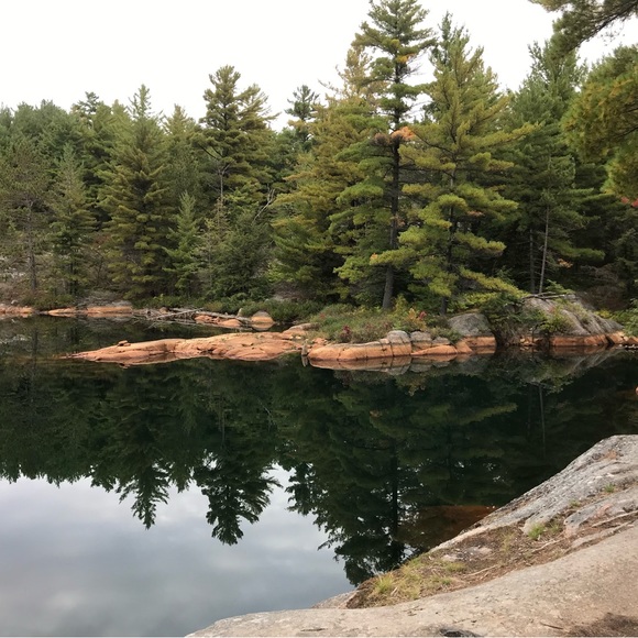 Meet your Posher, Di. - Picture 1 of 1